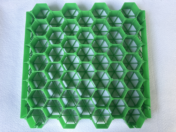 しょくせいこうし